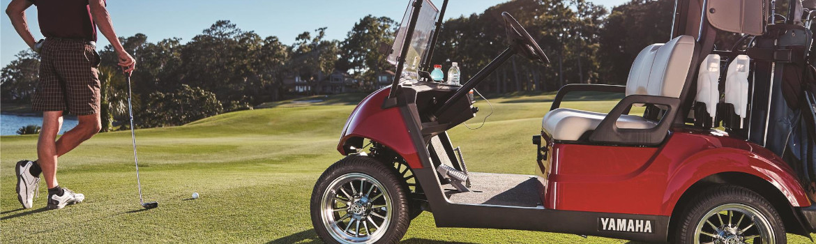 2019 Yamaha for sale in Yamaha Golf Cars of California, Livermore, California